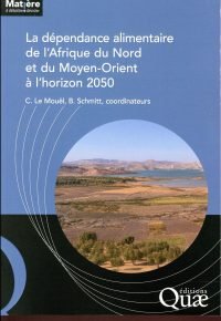 La dépendance alimentaire de l&rsquo;afrique du nord et du moyen-orient à l&rsquo;horizon 2050 Chantal Le Mouël (Auteur), Bertrand Schmitt (Auteur) vo