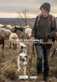 Terres pastorales – diversité et valeurs des milieux ouverts méditerranéens